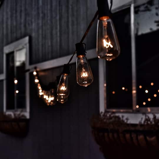 10ct. Clear Edison Glass Patio String Lights with Green Wire